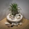 【珍しい返礼品】ふるさと納税で変わった果物（レアフルーツ）が頂ける