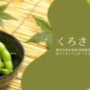 【くろさき茶豆】新潟県 ふるさと納税と産地直送品（通販）